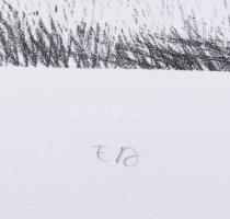 Eszik Alajos (1953-): Megelőző csapás. Litográfia, papír. Jelzett. Művészpéldány EA jelzéssel. 50×66...