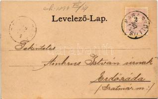 1899 Nagyszőlős, Nagyszőllős, Vynohradiv (Vinohragyiv), Sevljus, Sevlus; Báró Perényi Zsigmond kasté...