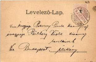 1900 Nagytapolcsány, Topolcany; Fő tér, Szlanka János és Pollak üzlete. Platzko Gyula kiadása / main...