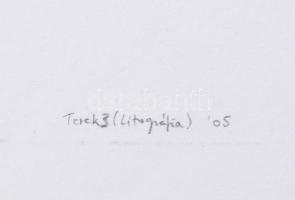 Varga Gedő Zalán Zoltán (-): Terek, 3 2005. Litográfia, papír, jelzett, művészpéldány EA I/II számoz...