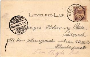 1900 Szolnok, Steiner Jakab Fiai divatáruháza, üzletek, piac, Pályaudvar, vasútállomás. Szigeti H. u...