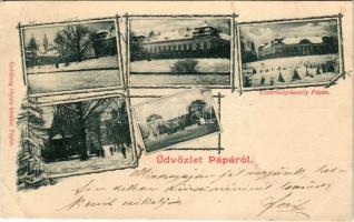 1900 Pápa, Eszterházy-kastély télen. Goldberg Gyula kiadása. Art Nouveau, floral (EB)