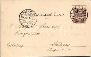 1900 Pápa, Eszterházy-kastély télen. Goldberg Gyula kiadása. Art Nouveau, floral (EB)