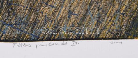 Kovács Péter Balázs (1955-): Titkos párbeszéd III., 2001. Litográfia, papír, jelzett, 13/15 számozás...