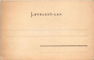 Párkány, Parkan, Stúrovo; Esztergom-megyei Párkányi Takarékpénztár, Steiner Mór üzlete. Kardos Dezső...