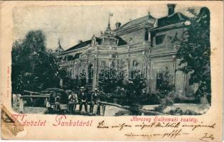 1899 Pankota, Pancota; Herceg Sulkowski kastély. Bloch H. kiadása / castle (r)