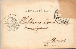 1899 Pankota, Pancota; Herceg Sulkowski kastély. Bloch H. kiadása / castle (r)