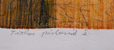 Kovács Péter Balázs (1955-): Titkos párbeszéd II., 2001. Litográfia, papír, jelzett, próbanyomat. Há...