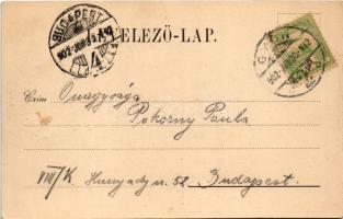 1902 Pannonhalma, Győrszentmárton; Pannonhalma Győr felől, látkép, apátság