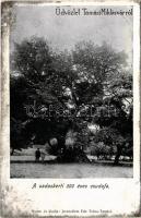 Tamási, Tolna-Tamási; Miklósvár, a vadaskerti 500 éves csudafa (Vas Gereben fa). Nyomta és kiadja Jeruzsálem Ede (EB)