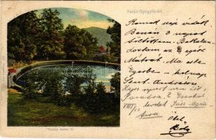 1902 Parád-gyógyfürdő, Timsós vasas tó. Klein Mór kiadása (EB)