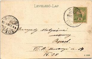 1902 Parád-gyógyfürdő, Timsós vasas tó. Klein Mór kiadása (EB)