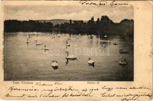1903 Tata, Tata-Tóváros; Hattyú-tó, hattyúk. Nobel Adolf kiadása (gyűrődés / crease)