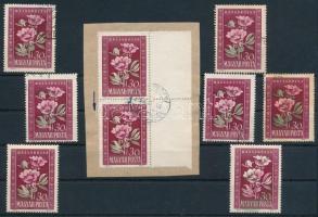 1950 Virág (I.) 30f 7 db bélyeg + 1 ívszéli pár kivágáson, klf színelcsúszások, érdekességek