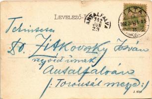 1902 Tata, Tata-Tóváros; vár télen. Engländer és Társa kiadása (szakadások / tears)