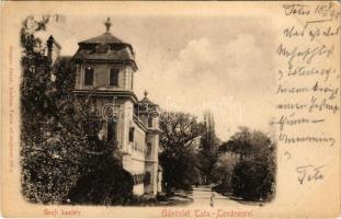 1899 Tata, Tata-Tóváros; Grófi kastély. Strausz Jakab kiadása (EK)