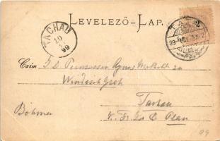 1899 Tata, Tata-Tóváros; Grófi kastély. Strausz Jakab kiadása (EK)