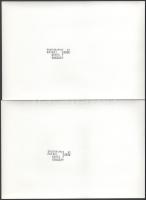 cca 1986 Pataki Gábor fotóriporter felvételei Varnus Xavér orgonaművészről, 10 db pecséttel jelzett,...