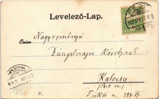 1902 Pécs, Diadalkapu Őfelsége látogatása alkalmából 1901. szept. 18. Kiadja Blancz József (b)