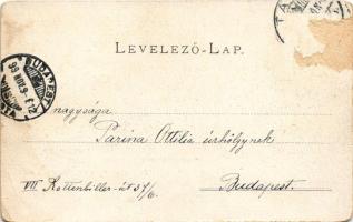 1899 Tata, Tata-Tóváros; Angolpark bejárata, nyaraló, villa. Engländer és Társa kiadása (Rb)