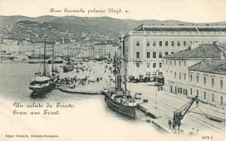 Trieste Grumula quay and the Lloyd palace