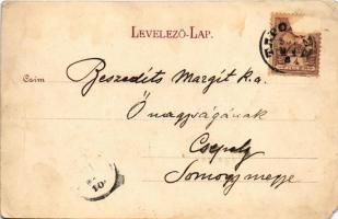 1901 Tapolca, Fő tér, Frisch József és Fia, Wolf Sándor és Fia üzlete. Löwy B. kiadása (b)