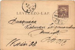 1900 Pécs, Városi közkórház, minaret. Fischer Ferenc kiadása, Rechnitzer Ottokár fénynyomdája (EK)