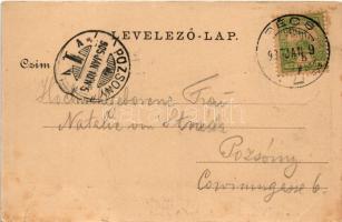 1905 Pécs, Székesegyház. Fürst Lipót kiadása (r)