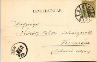 1904 Pécs, Székesegyház, kiadja özv. Tausz Vilmosné, A. Schwidernoch (EK)