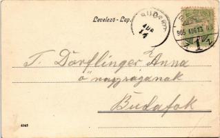 1905 Pécs, látkép (EB)