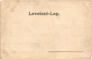 Ókígyós, Szabadkígyós; Wenckheim kastély parkja. Seefehlner J.L. kiadása (EM)