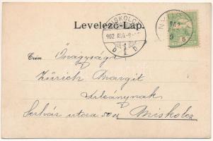 1902 Nyustya-Likér, Hnústa-Likier; vasgyár. Rakottyay Lajos kiadása / iron works, factory (EB)