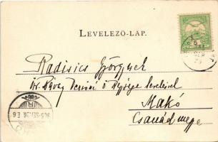 1905 Felsőelefánt, Szent János Elefánt, Nyitra-Szent-János, Oberelefant, Horné Lefantovce; kastély. ...