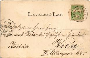 1900 Oroszvár, Rusovce, Karlburg (Pozsony, Pressburg, Bratislava); Fő tér, templom, Nemes udvar, kas...