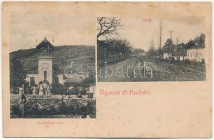 Ópálos, Ó-Pálos, Ópaulis, Paulis (Arad-Hegyalja); Nachtnebel villa, Fő út / villa, main street (fl)