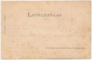 Ópálos, Ó-Pálos, Ópaulis, Paulis (Arad-Hegyalja); Nachtnebel villa, Fő út / villa, main street (fl)