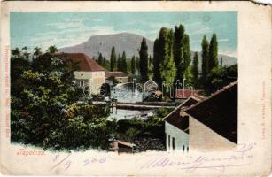 1900 Tapolca, tó, malom. Löwy B. kiadása (b)