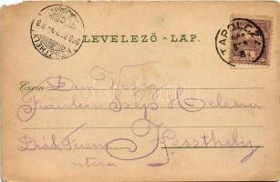 1900 Tapolca, tó, malom. Löwy B. kiadása (b)