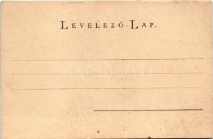 Nyitra, Nitra; Dr. Kállay háza. Szold Jakab kiadása 1901. / house (vágott / cut)