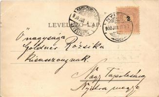 1900 Nyitra, Nitra; Kalmár utca, Neumann Jónás Fiai, Neumann József, Salvender Victor és Fiai, Gutma...