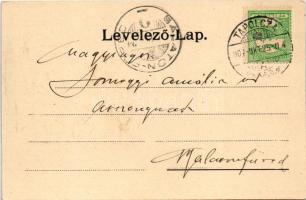 1907 Tapolca, Szentháromság tér és Bacsányi utca, Eibeschütz szálloda, kávéház és étterem, Balaton s...