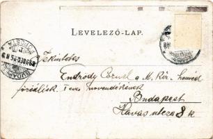 1899 Nyitra, Nitra; Metzger Ede gyógyszertára a "Megváltóhoz", Metzger Ede saját kezű leve...