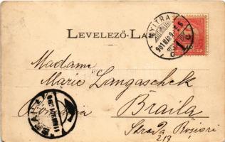 1901 Nyitra, Nitra; általános látkép / general view (EB)