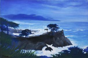 Olvashatatlan jelzéssel: Egzotikus táj. Olaj, vászon, javított, 40×60 cm