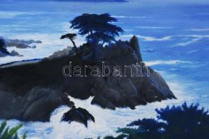 Olvashatatlan jelzéssel: Egzotikus táj. Olaj, vászon, javított, 40×60 cm