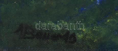 Olvashatatlan jelzéssel: Egzotikus táj. Olaj, vászon, javított, 40×60 cm