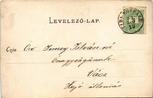 1899 Tahi, Tahi-puszta (Tahitótfalu); látkép, Tahi csárda, vendéglő, étterem. Divald Károly 145. sz....