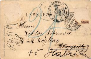 1901 Pancsova, Pancevo; Temesquai, Totalansicht. Wittigschlager K., Lichtdruck C. Ledermann jr. / Te...