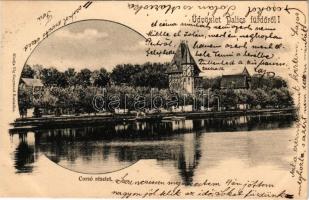 1903 Palics-fürdő, Palic; Corso részlet. Kiadja Vig Zsigmond / promenade. Art Nouveau