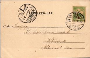 1903 Palics-fürdő, Palic; Corso részlet. Kiadja Vig Zsigmond / promenade. Art Nouveau